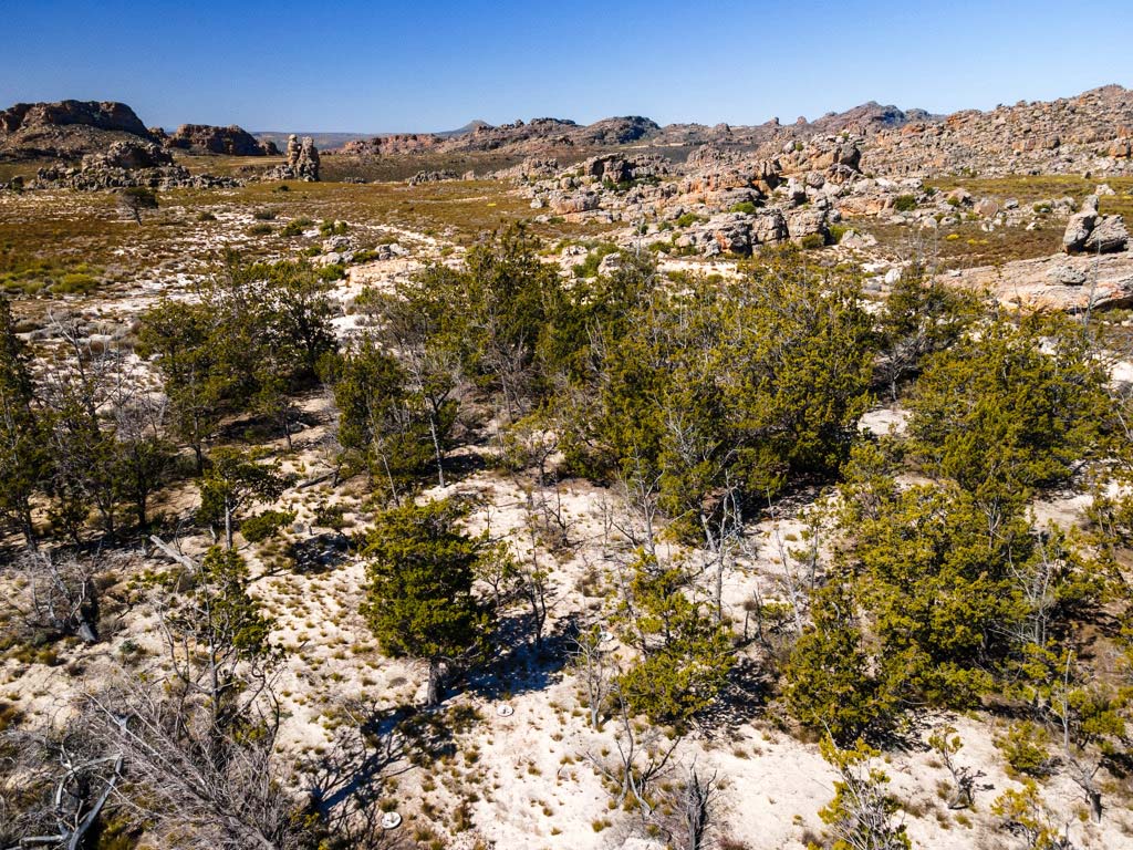 A rocky landscape with trees and blue sky