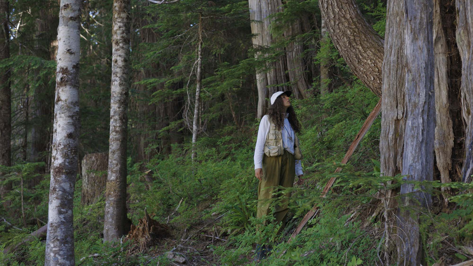 A person standing in a forest looking up at a tree