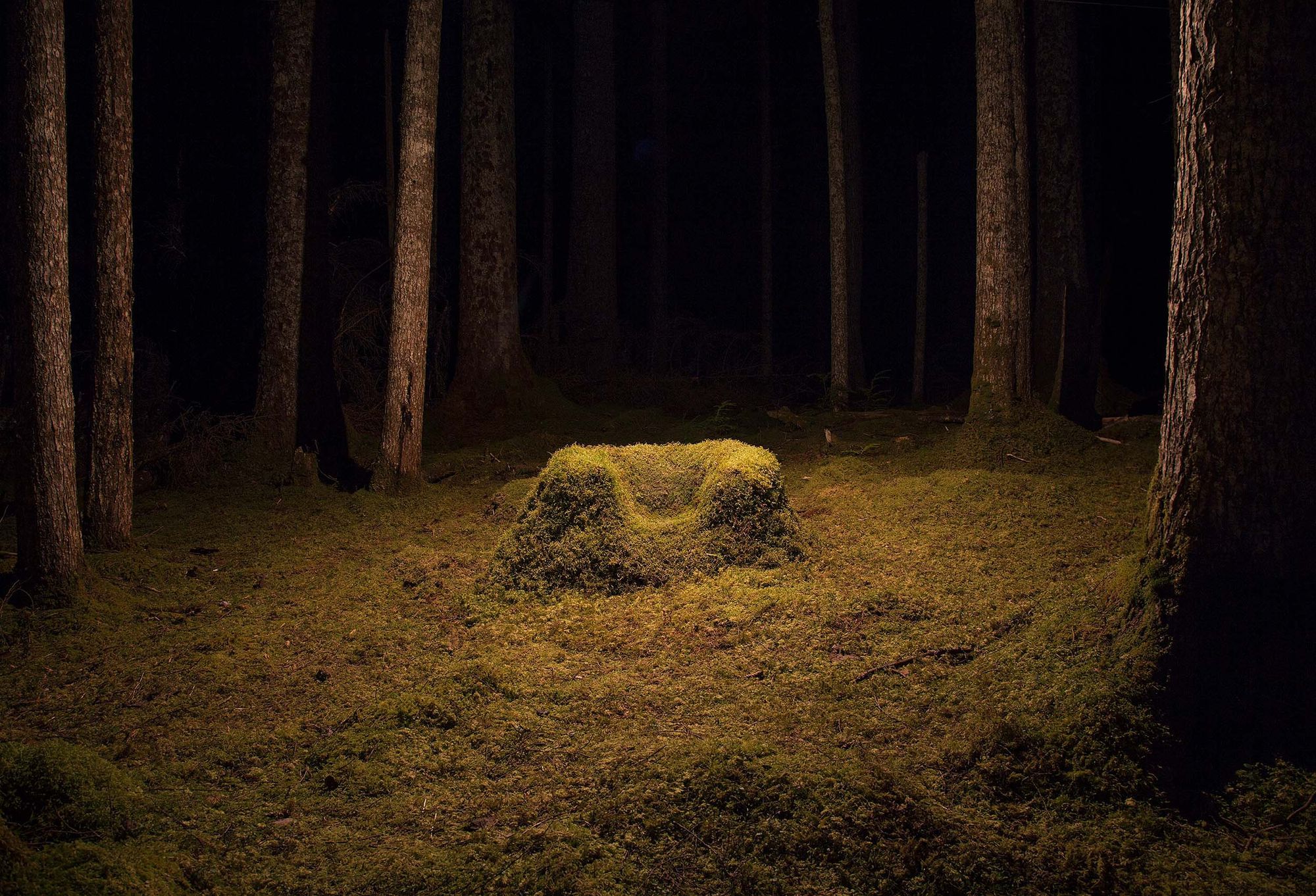 Photo: a moss-covered armchair lit up amidst a moss-covered clearing between trees and dark forest