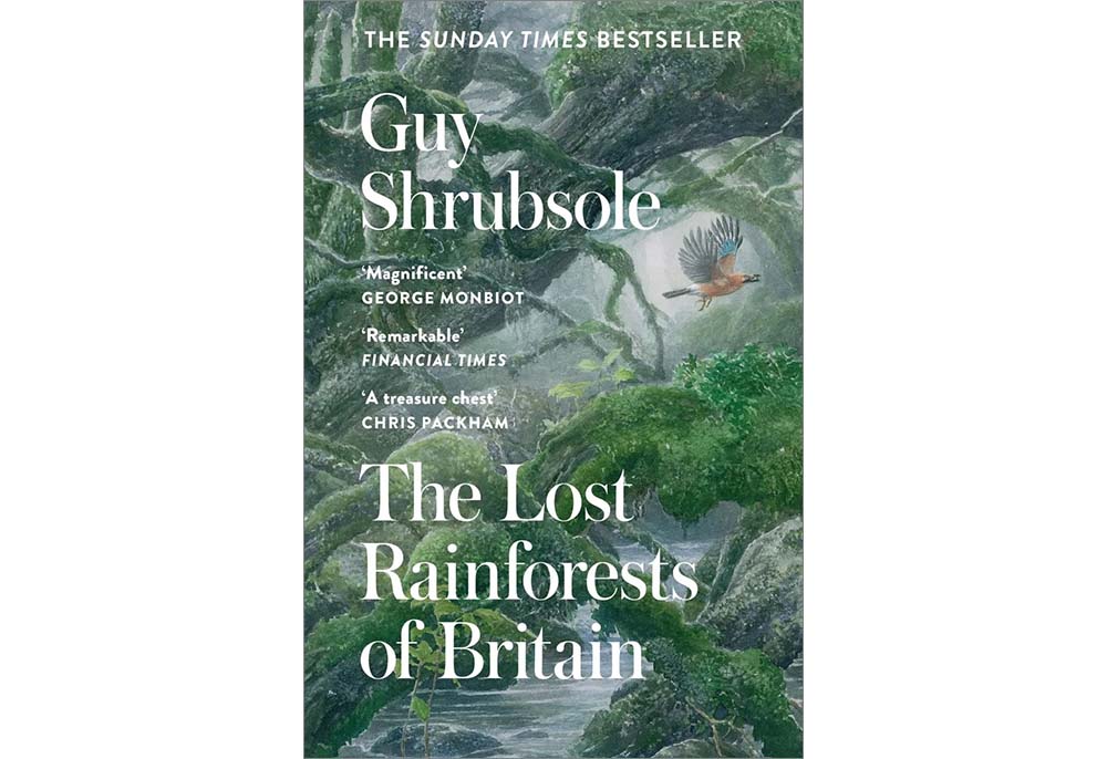 Cover image of the book "The Lost Rainforests of Britain"