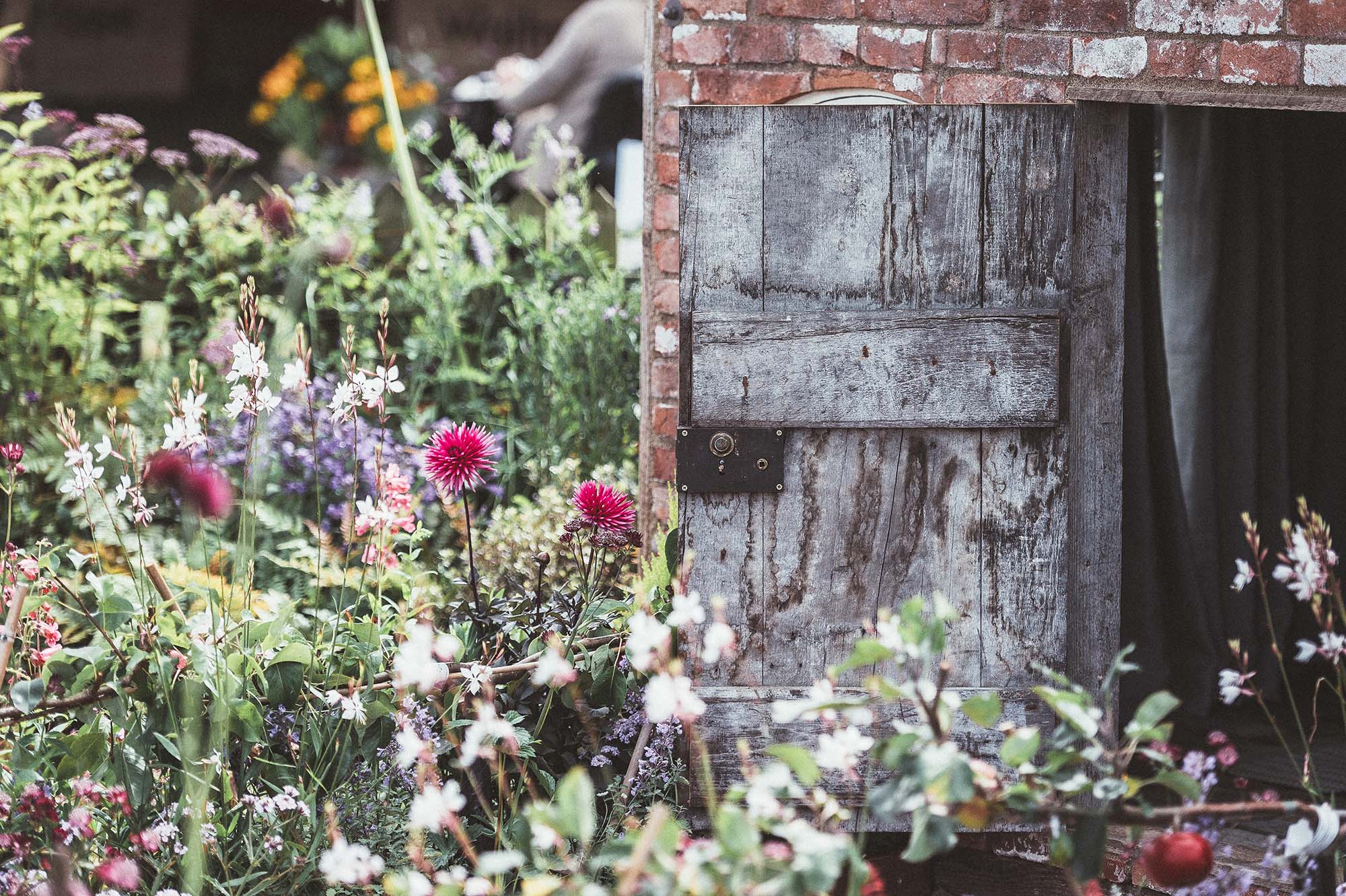 A brick building and wooden shutter surrounded by dense plants and flowers