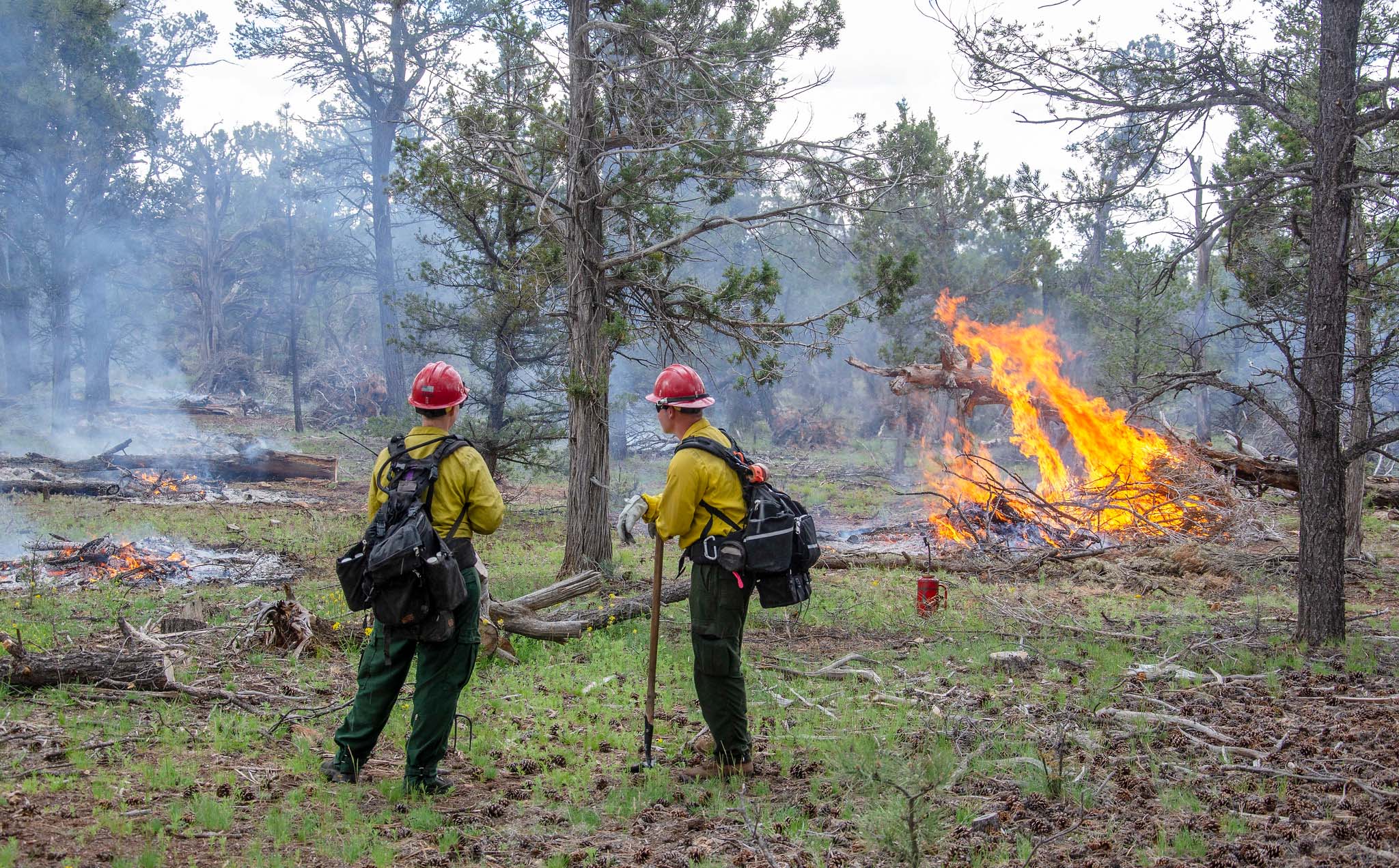 two people in firefighting gear standing in a forest clearing, watching piles of debris burn
