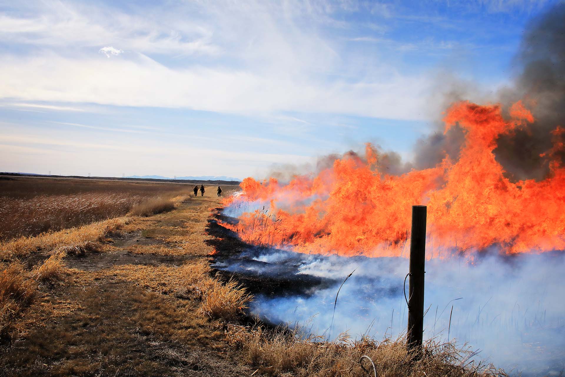 People in the distance; at left, grassland; at right, orange flames