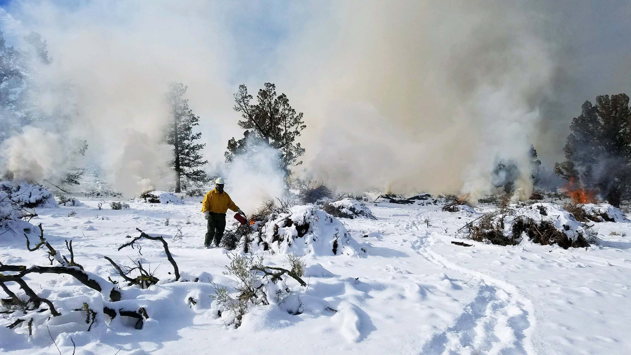 A person burning a pile of brush in a snow-covered opening in a forest