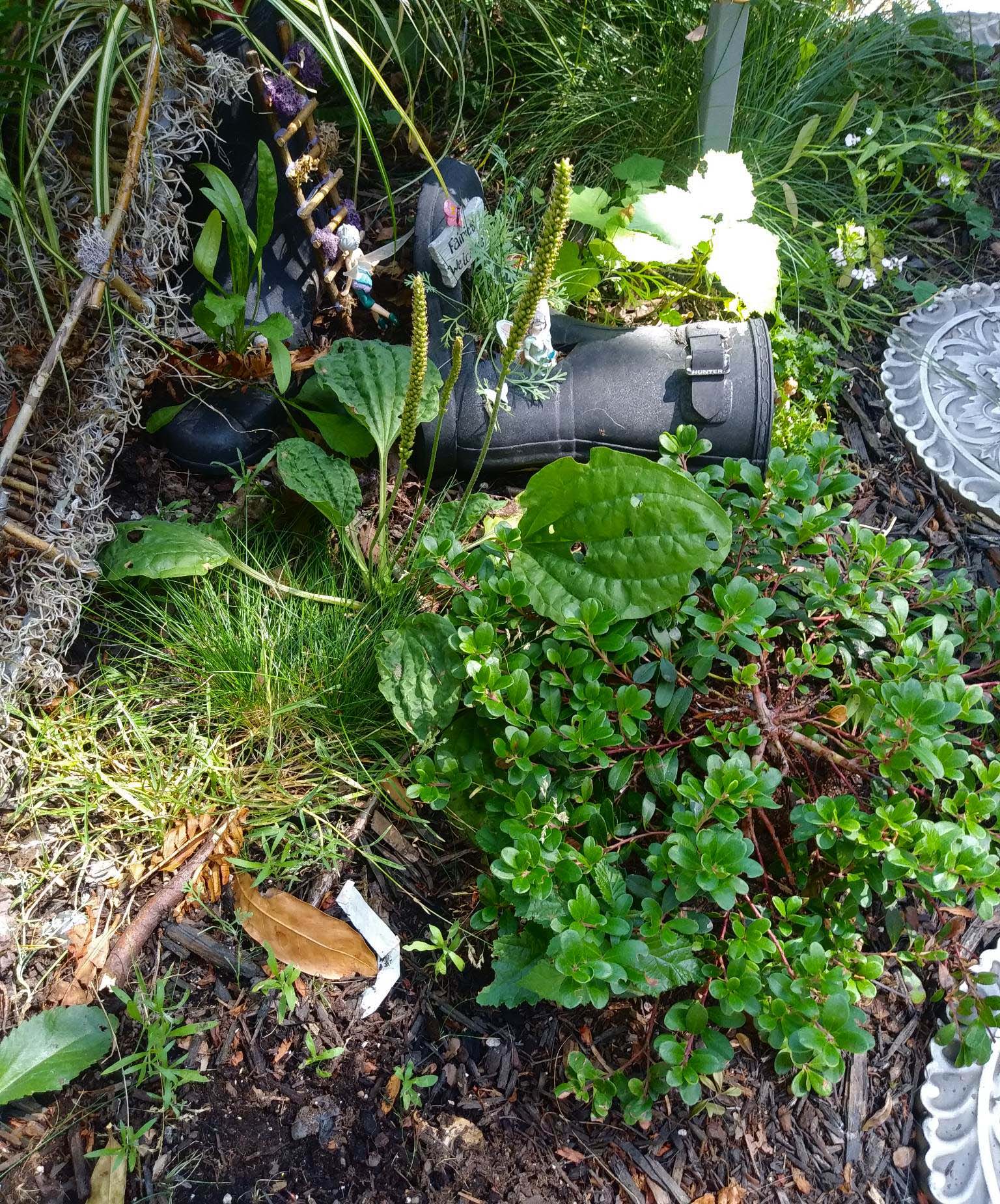 A messy garden with rubber boots