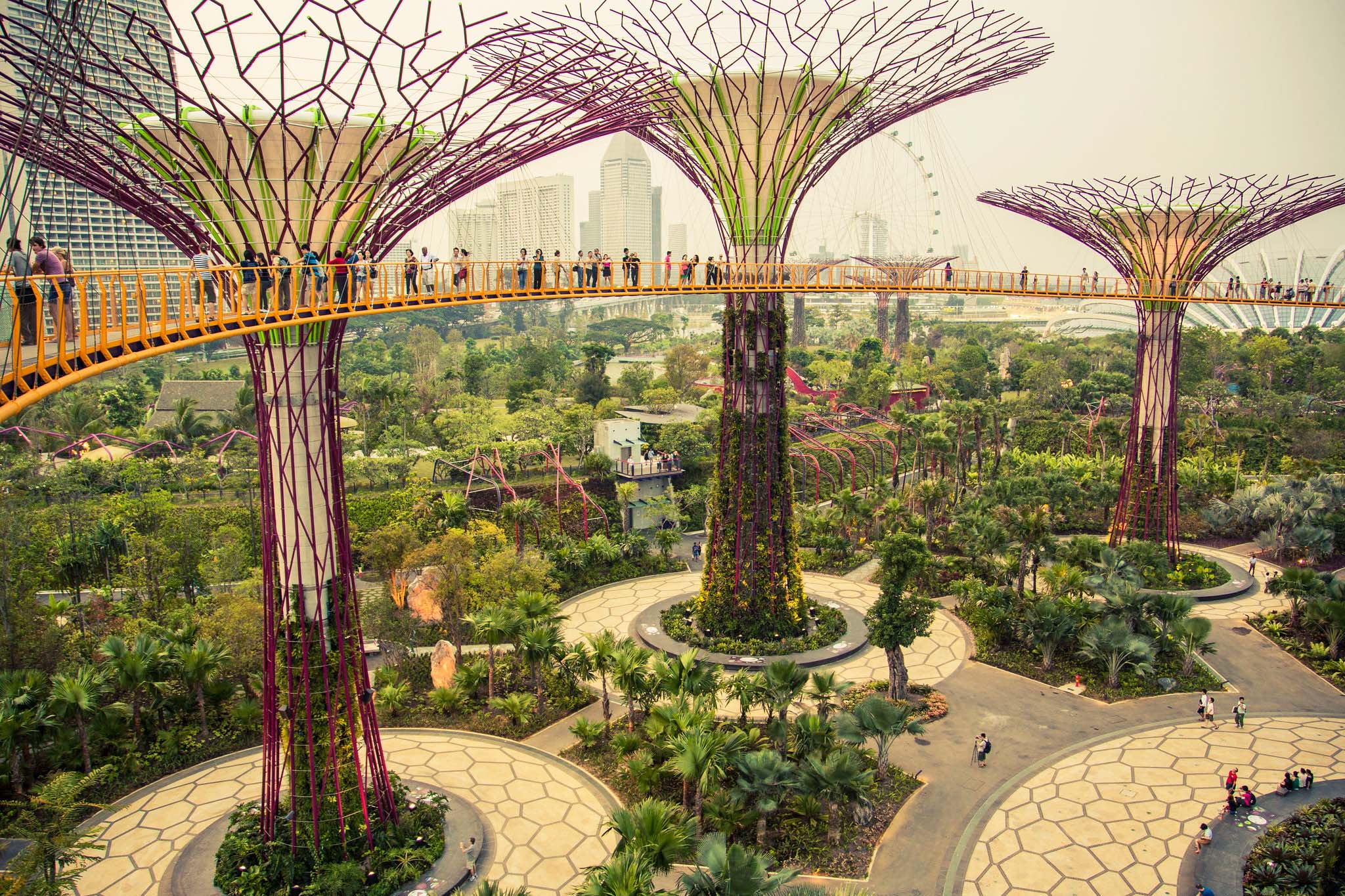 Large artificial tree-like structures joined by a bridge, surrounded by greenery