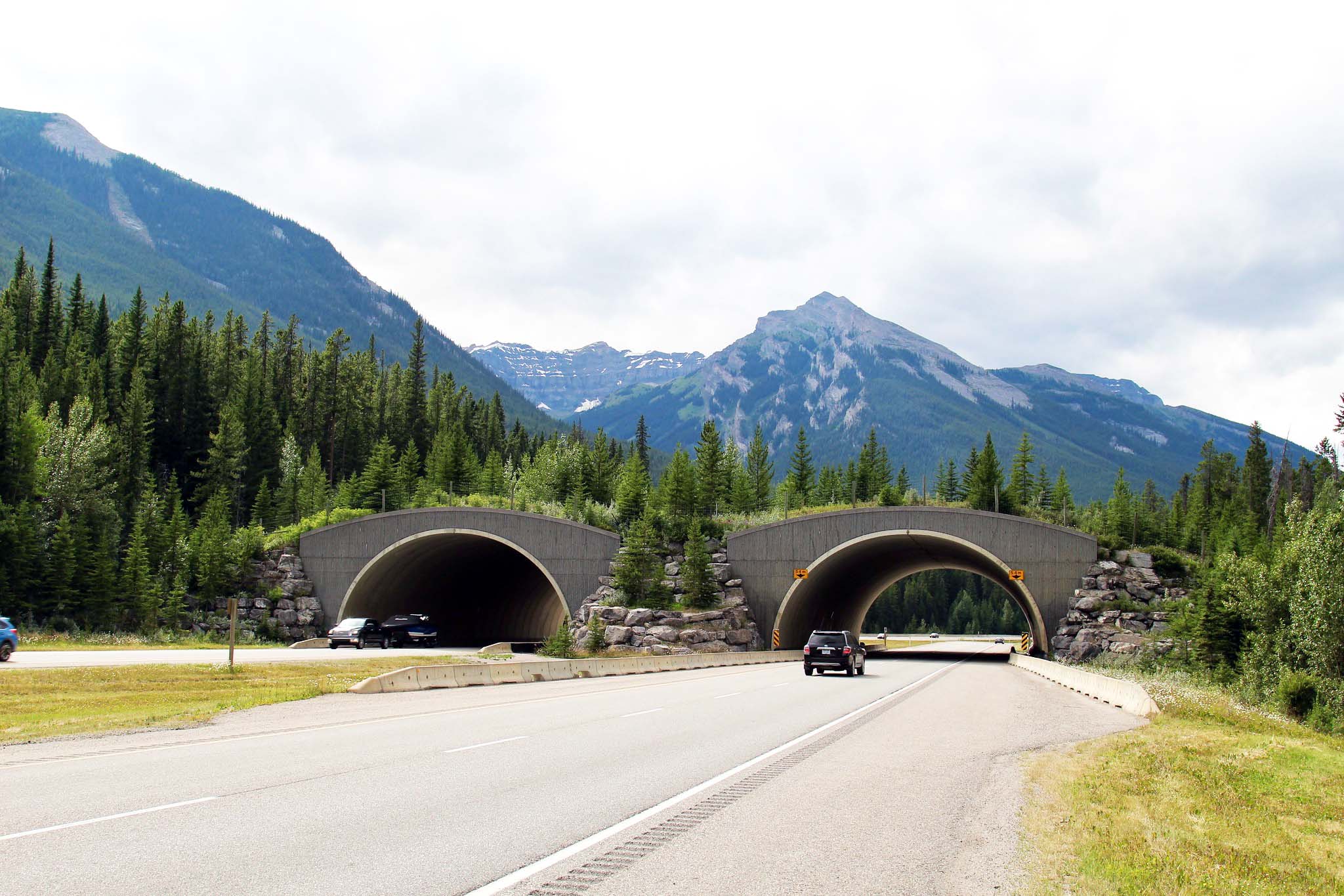 A view of the Trans-Canada Highway as it is crossed by a wildlife overpass, with mountains in the background