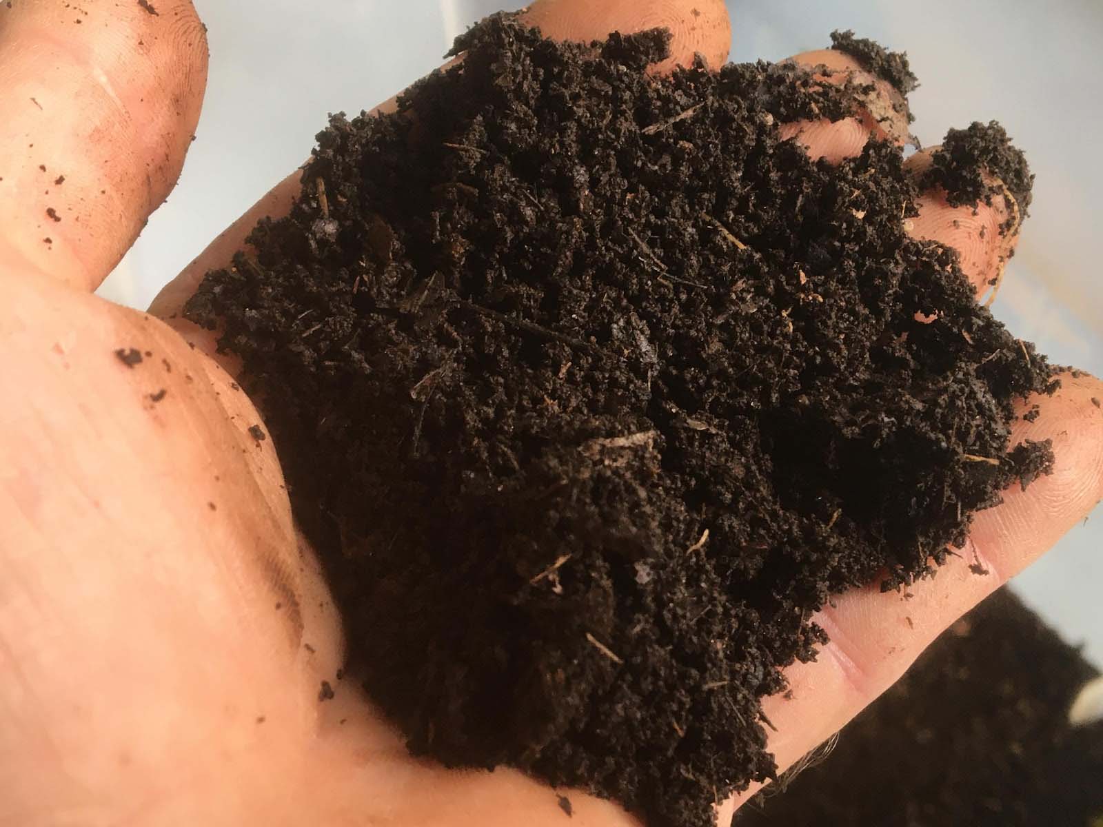 A hand holding leaf mold, a blackish soil-like substance
