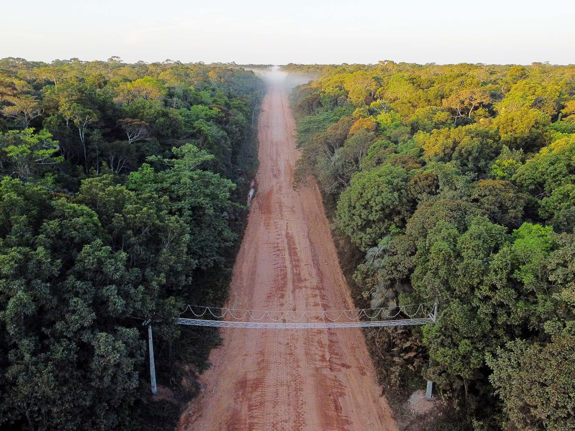 View from above of a reddish dirt road with jungle on either side, crossed by a high rope bridge