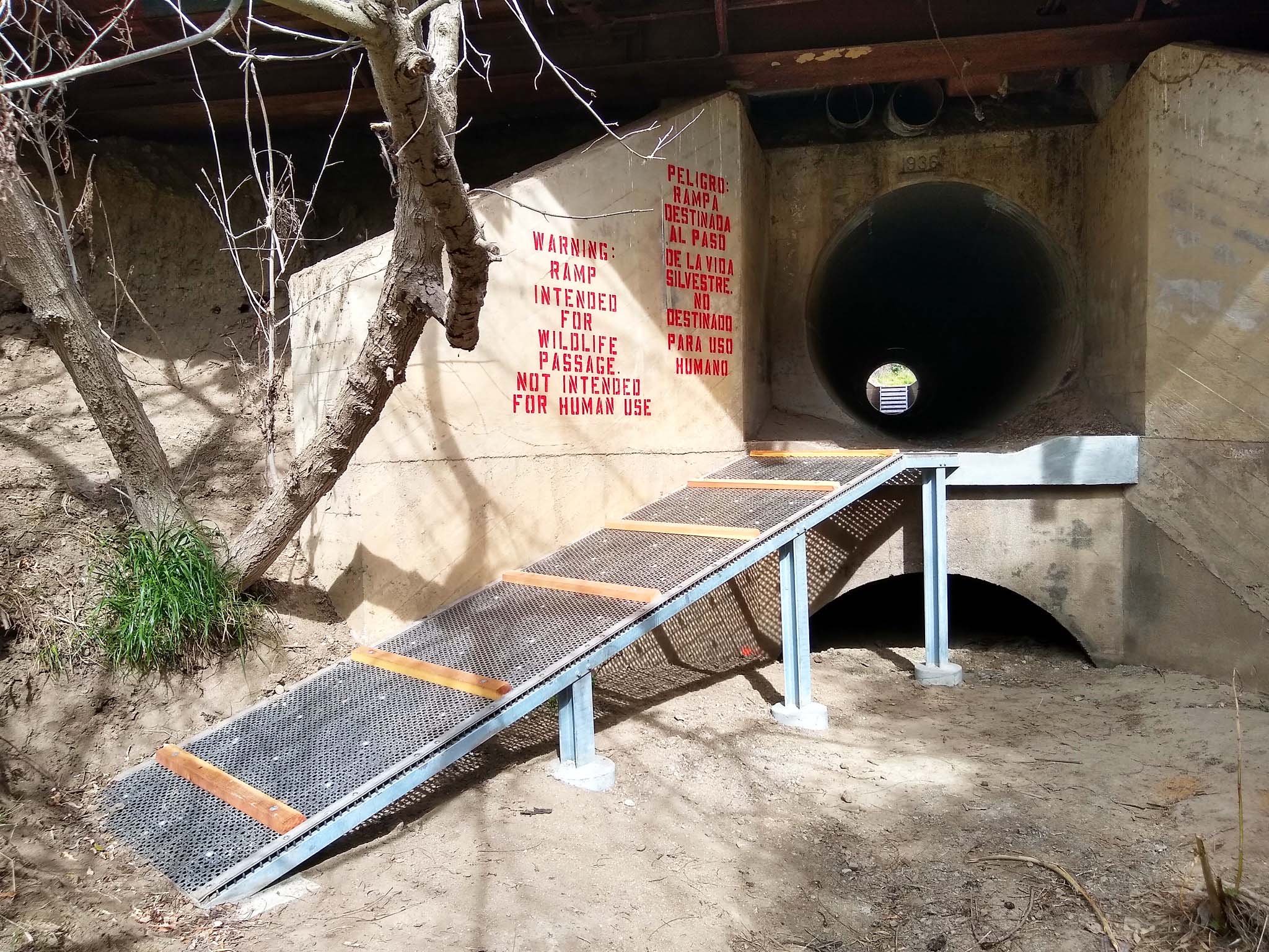 A ramp and tunnel that go under a highway, for wildlife to use to cross safely