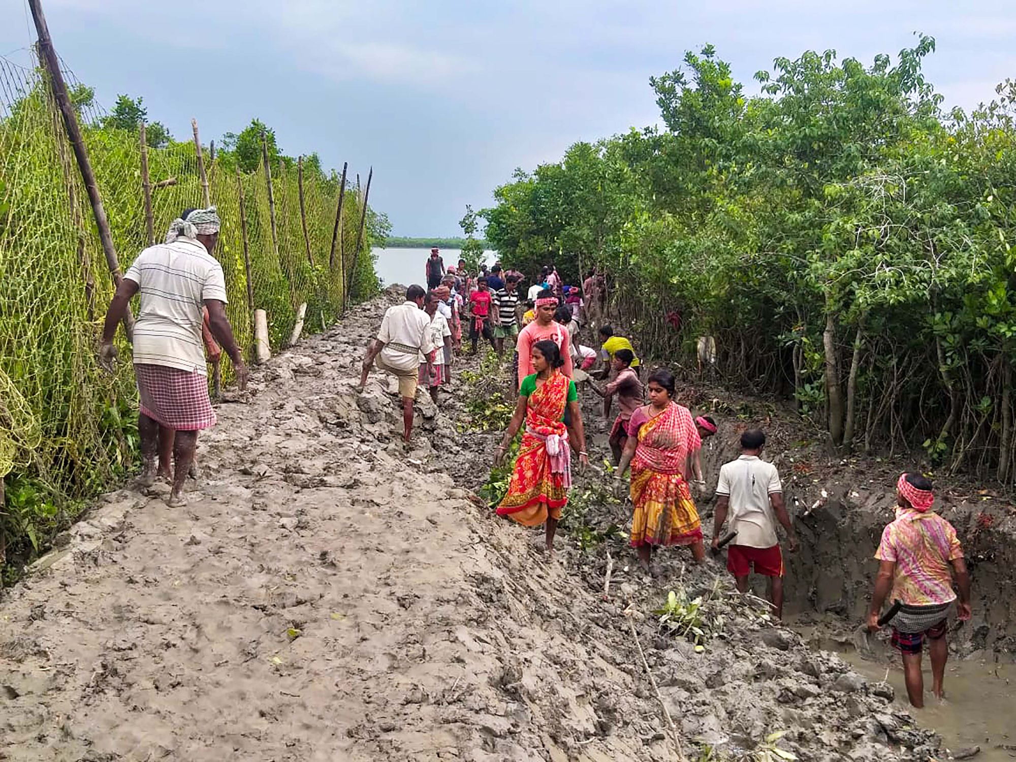 A group of people standing on bare soil, with mangrove trees at right and a fenced green area at left