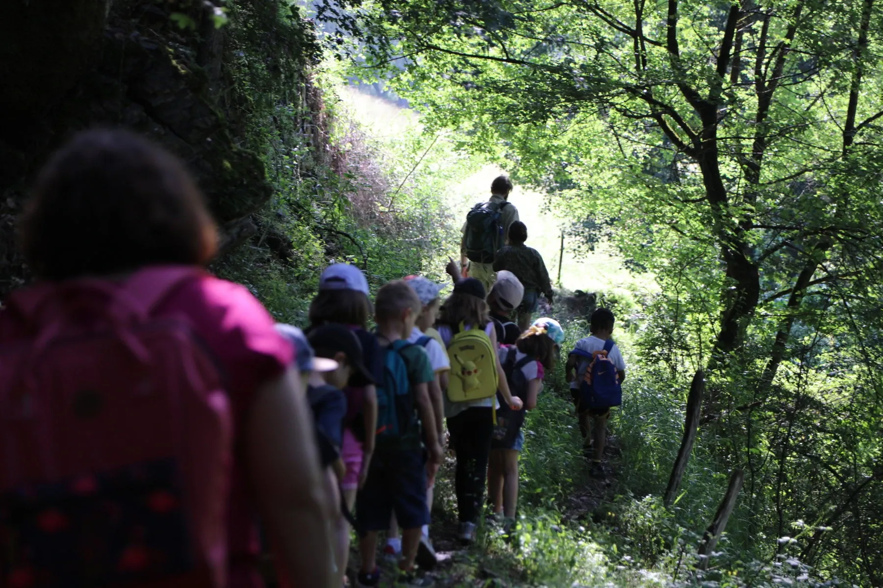 A group of children following an adult through the forest