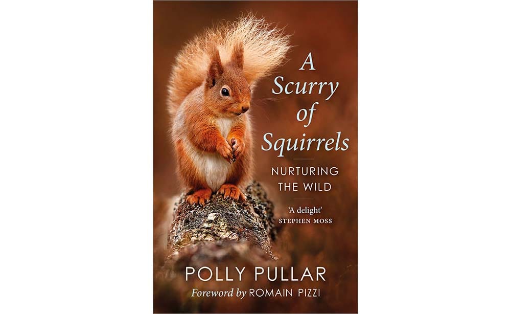 Cover of the book A Scurry of Squirrels by Polly Pullar