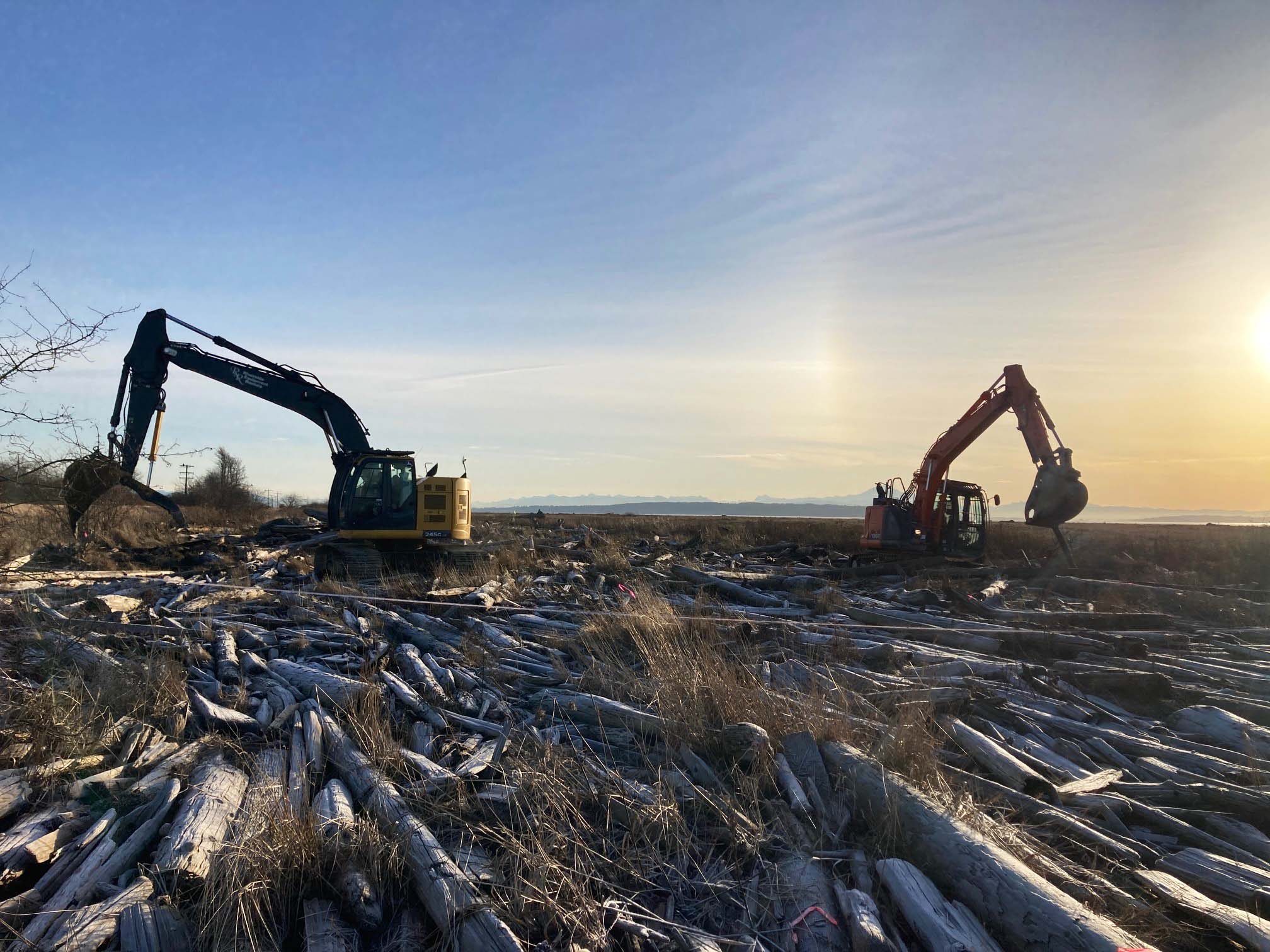 heavy equipment on a wood-covered beach with bright sky in the background