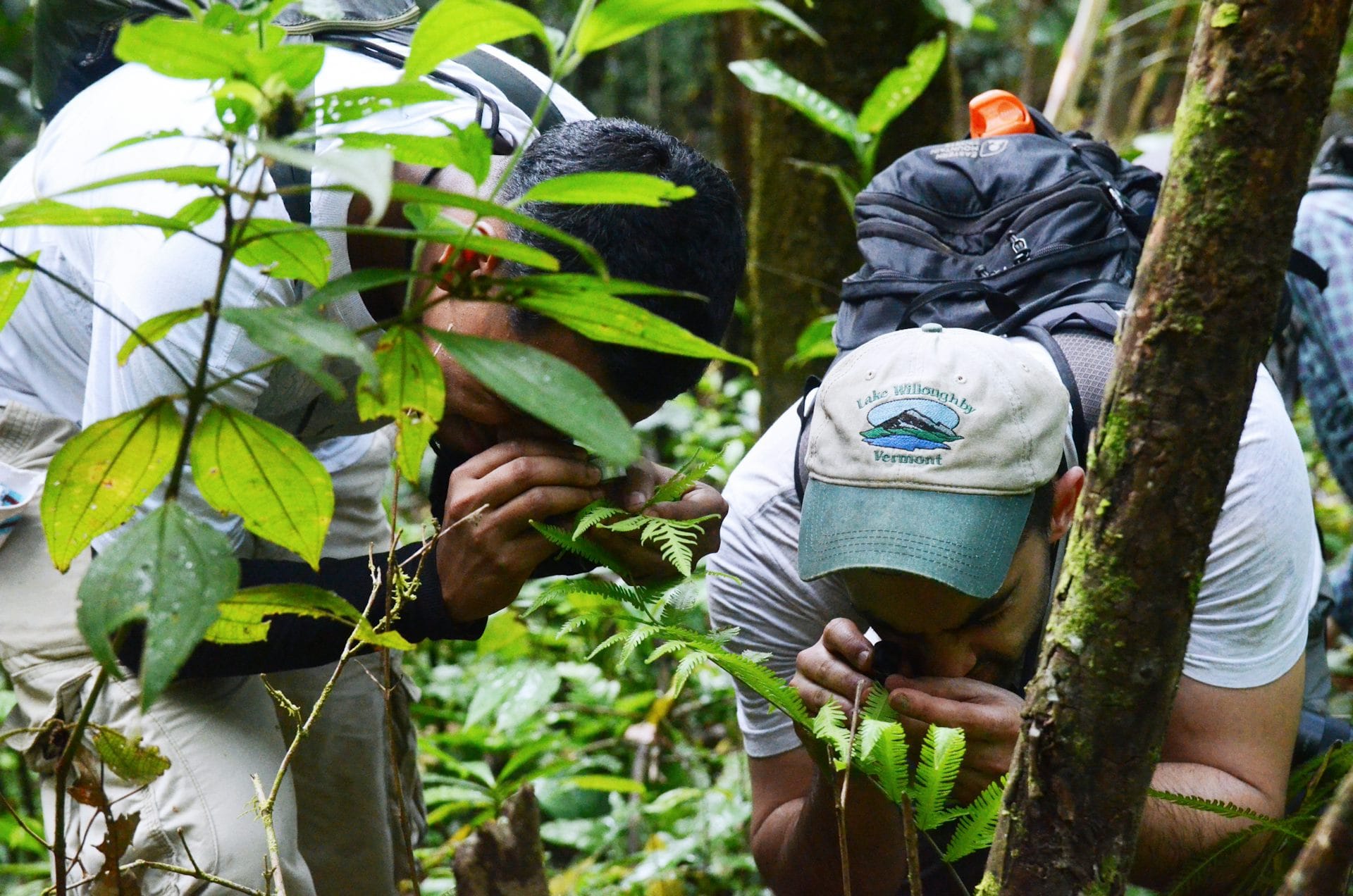 Two people in a forest, looking at a plant through scopes