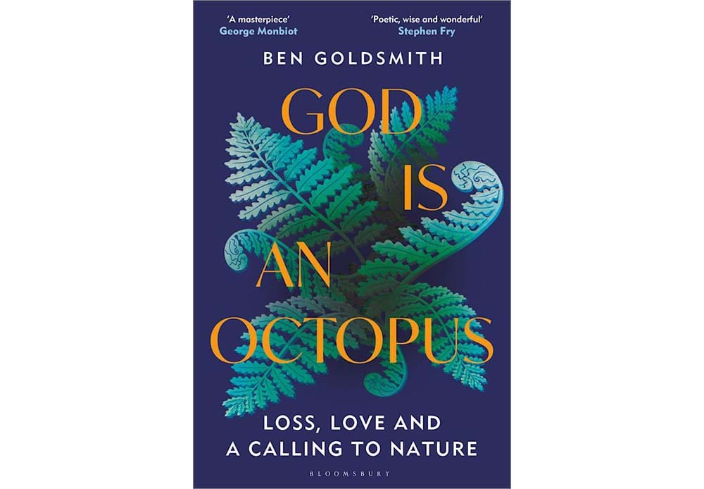 cover of the book God Is an Octopus by Ben Goldsmith