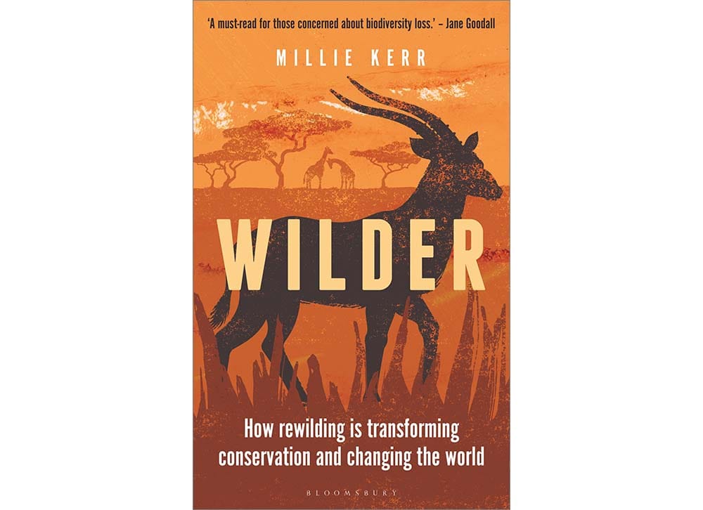 cover of the book Wilder by Millie Kerr