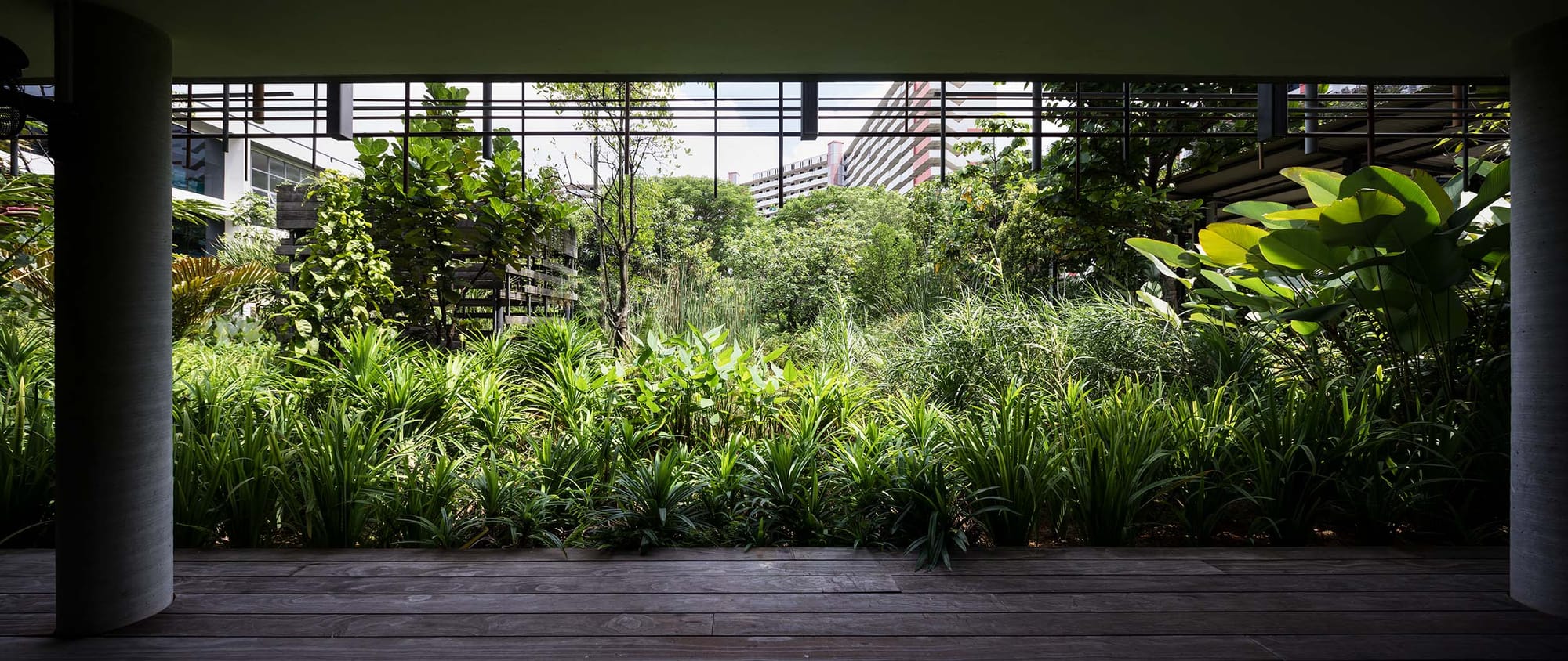 A lush green courtyard garden framed by a wooden walkway, round pillars and a roof