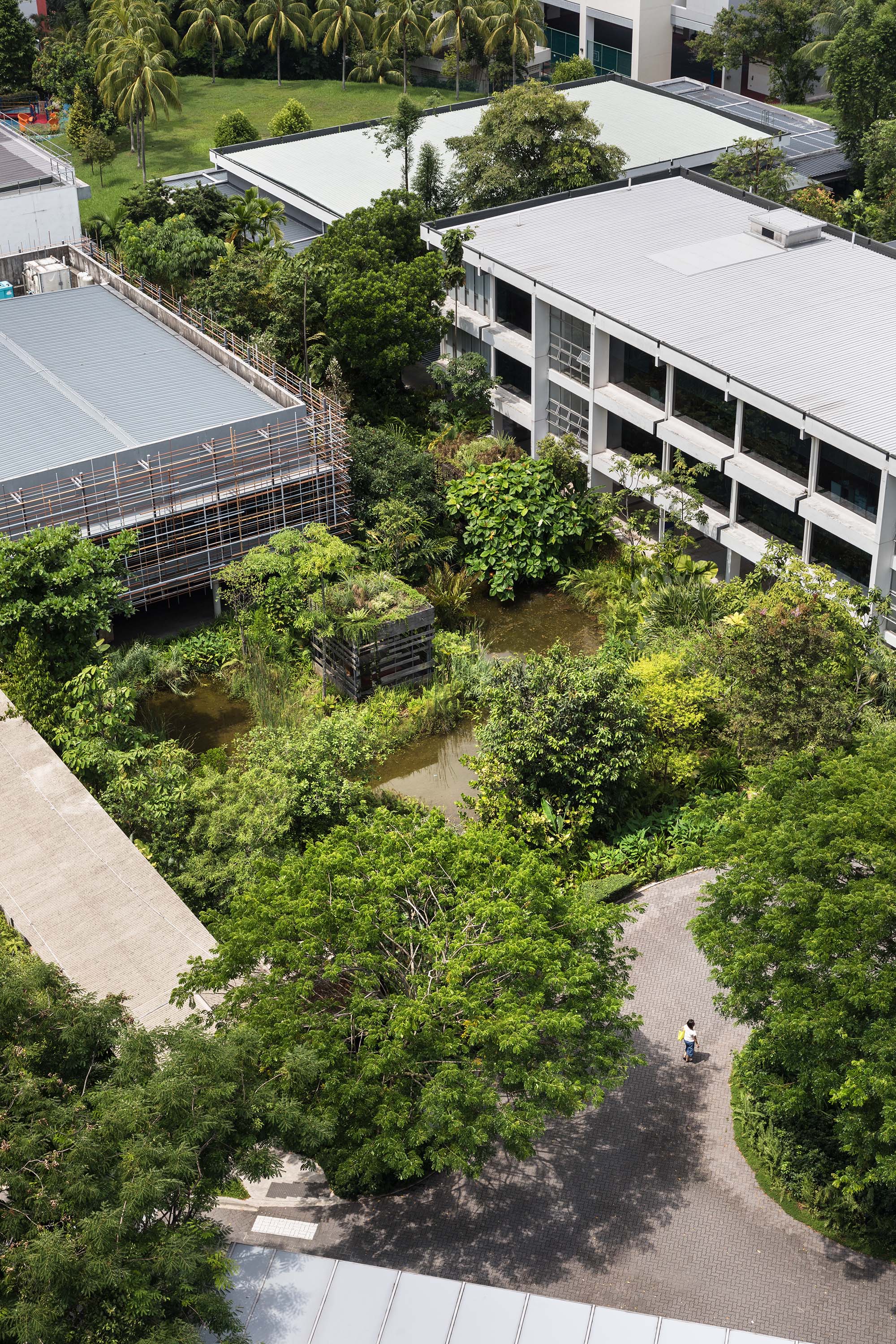 Aerial view of a lush green garden in a building courtyard