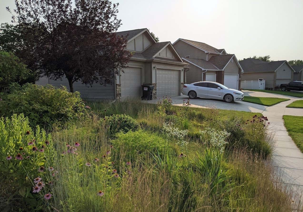 A dense, biodiverse front-yard garden in a suburban neighbourhood