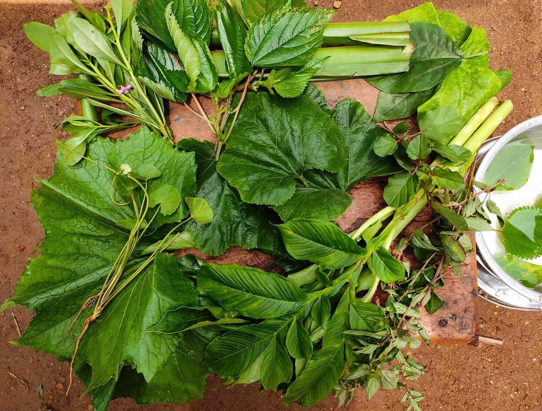 A grouping of various leafy greens arranged on a table outdoors, viewed from the top down