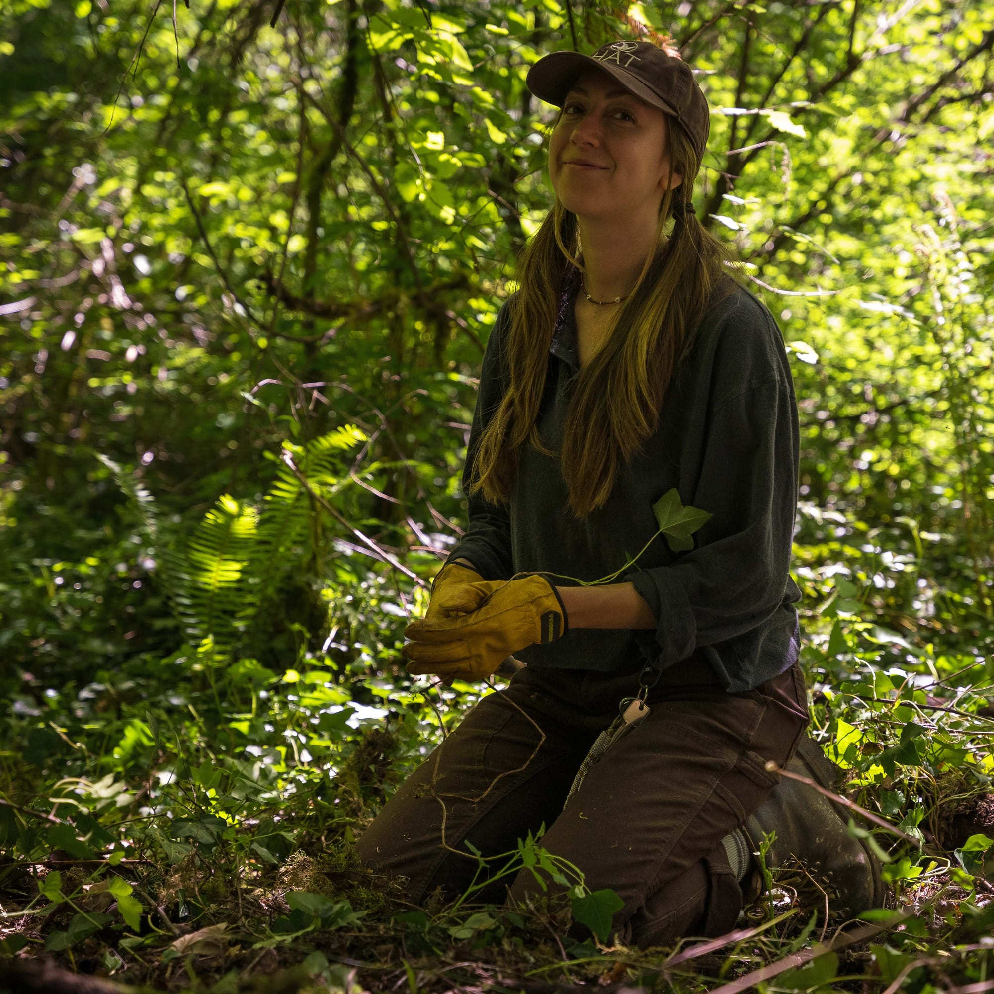 In W̱SÁNEĆ territories, removing invasive English ivy makes way for indigenous plants