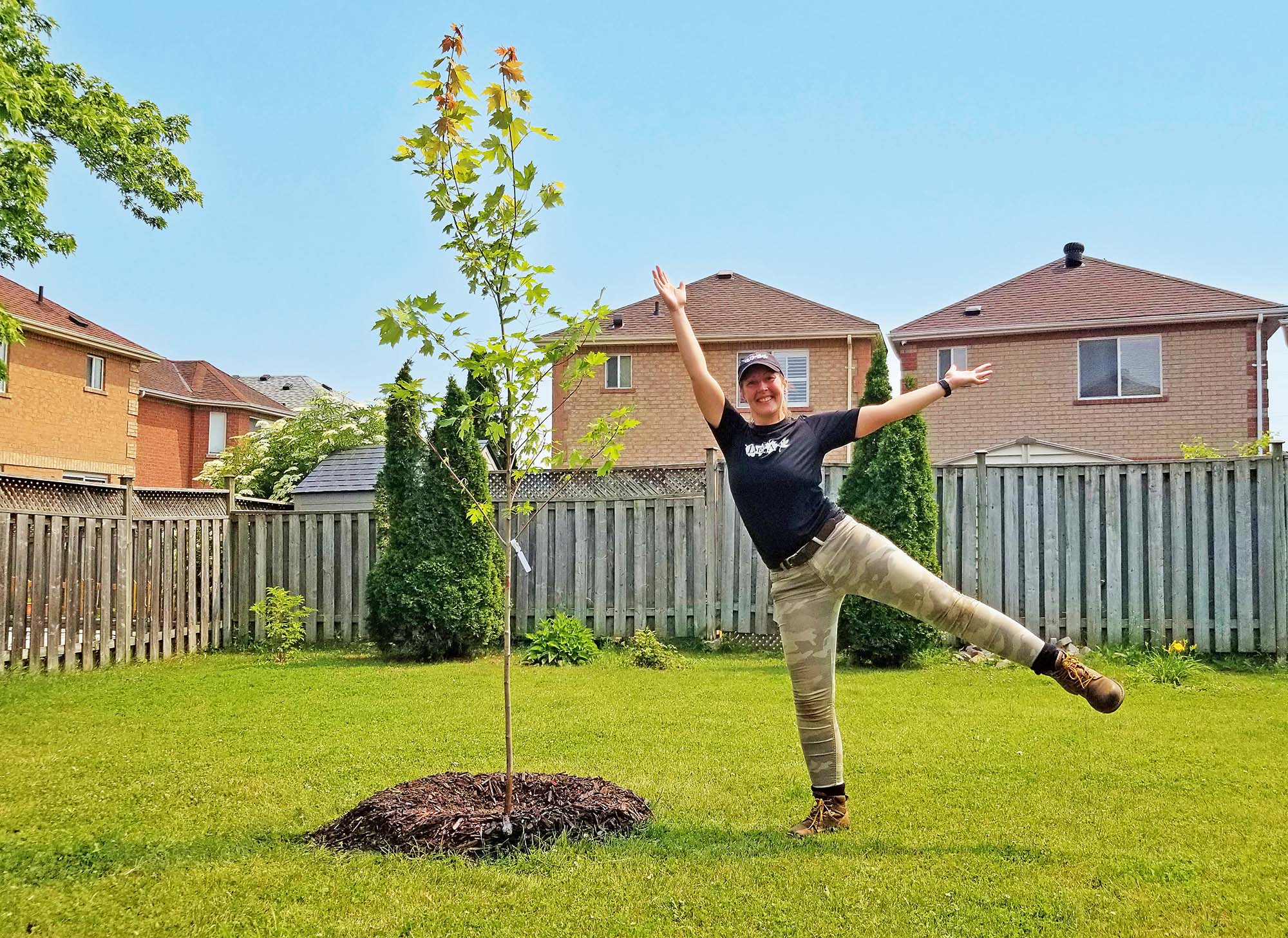 A person poses on one leg next to a newly planted maple tree in a suburban backyard