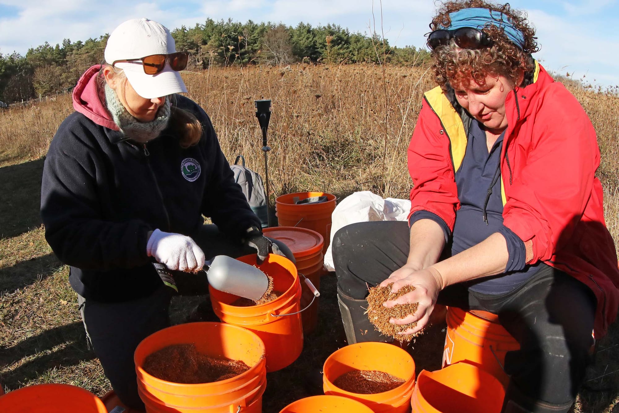 Restoring lost grasslands is as important as planting trees