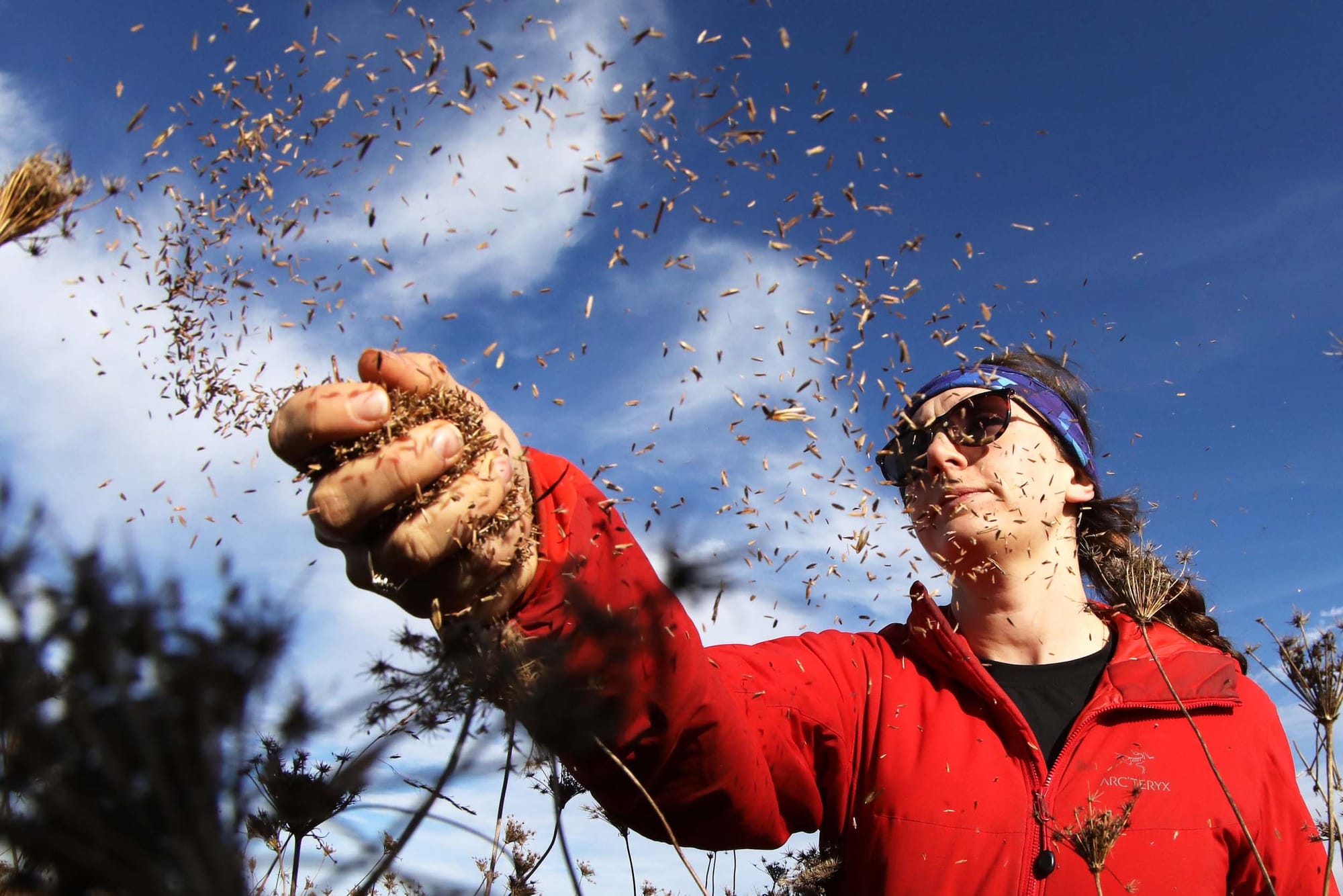 Restoring lost grasslands is as important as planting trees