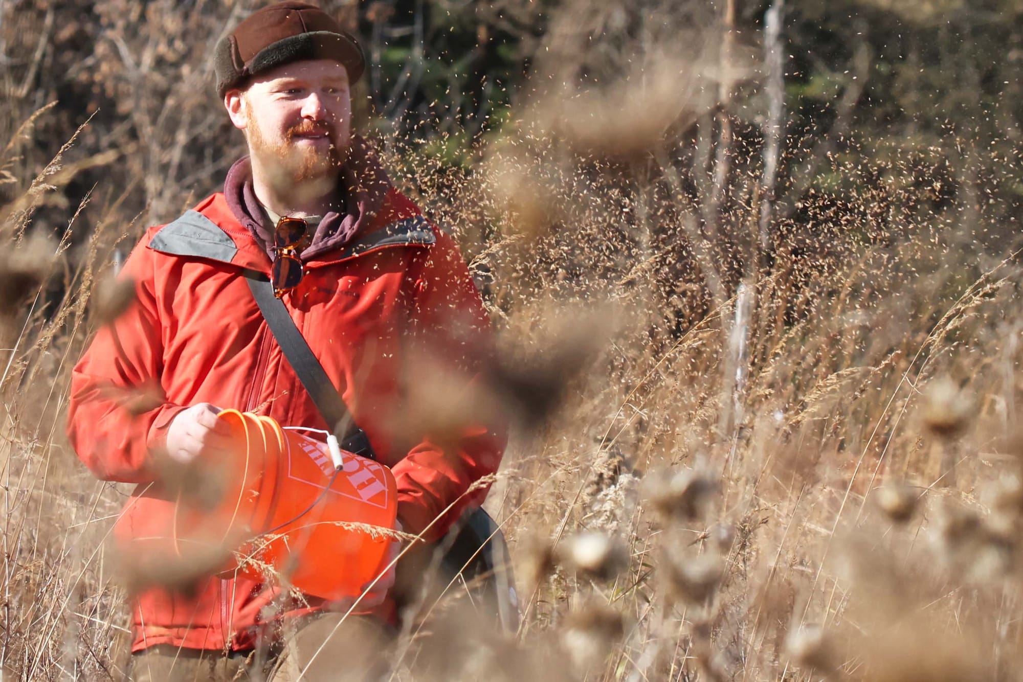 Restoring lost grasslands is as important as planting trees