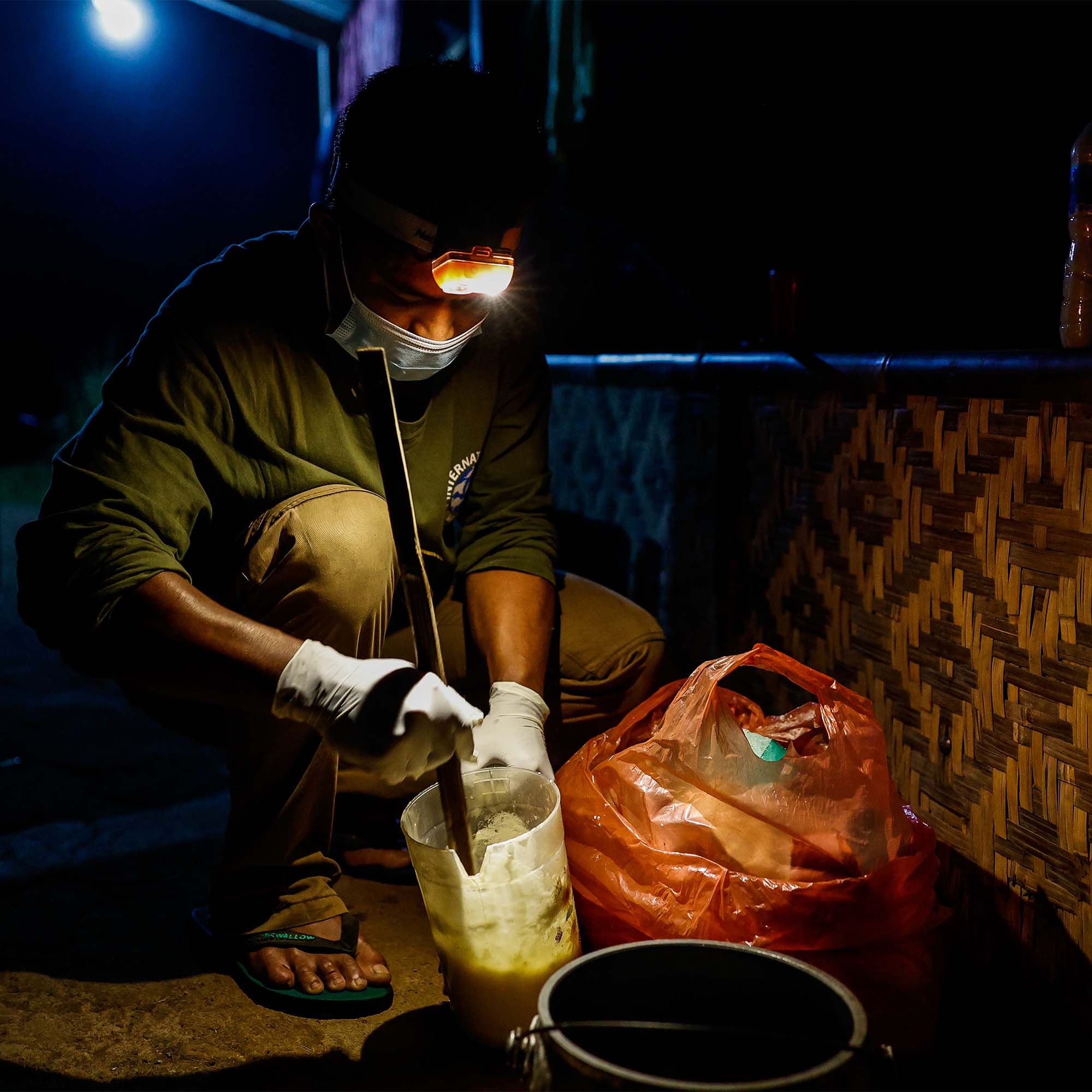 Returning the endangered slow loris to its wild Javan home