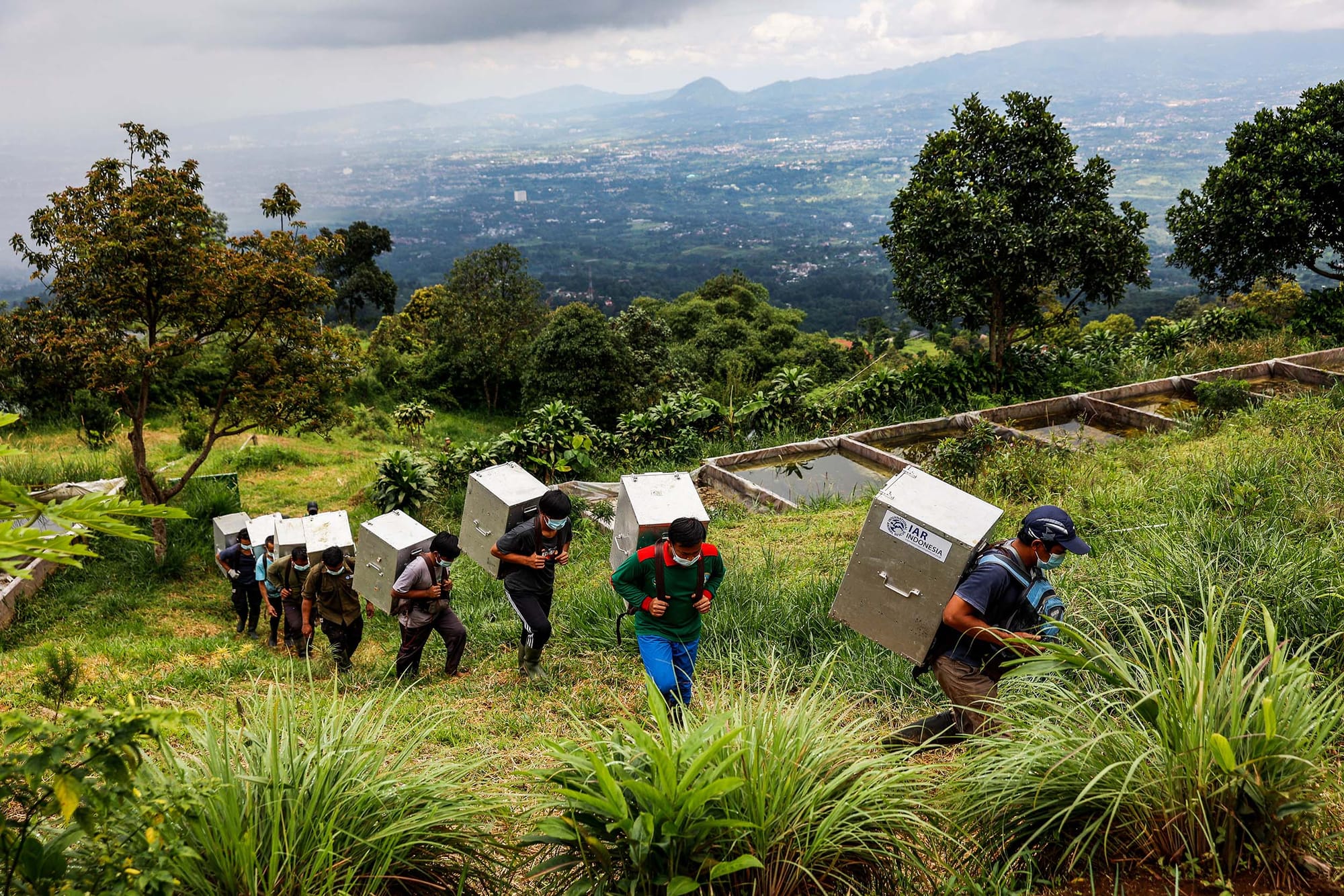 A row of people hiking up a hill with metal boxes on their backs, with a landscape behind them