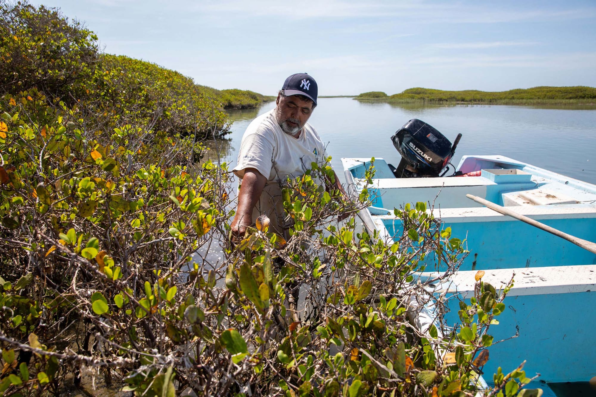 A person pointing at mangroves with a boat next to them
