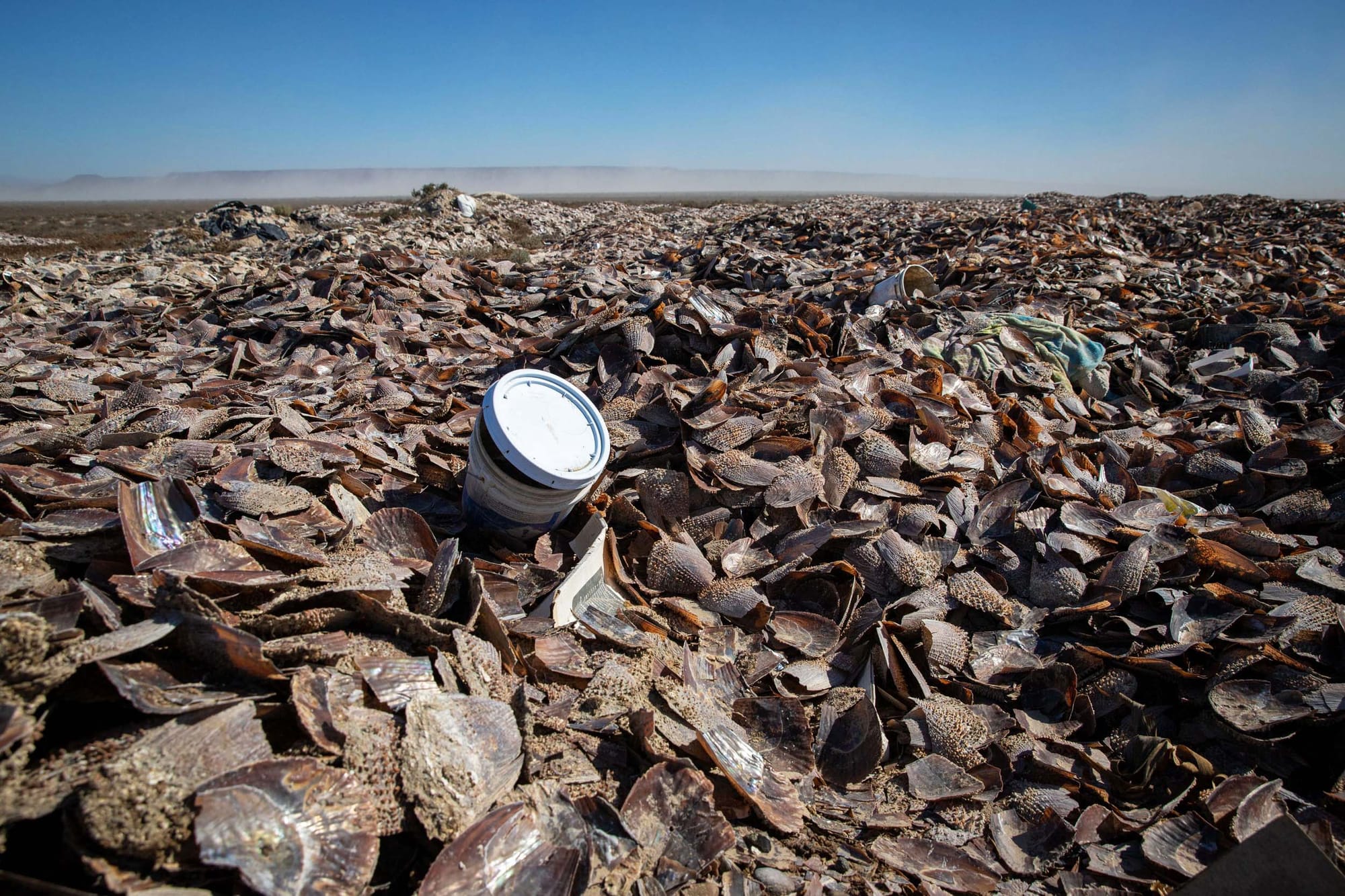 Discarded garbe among shells on a beach