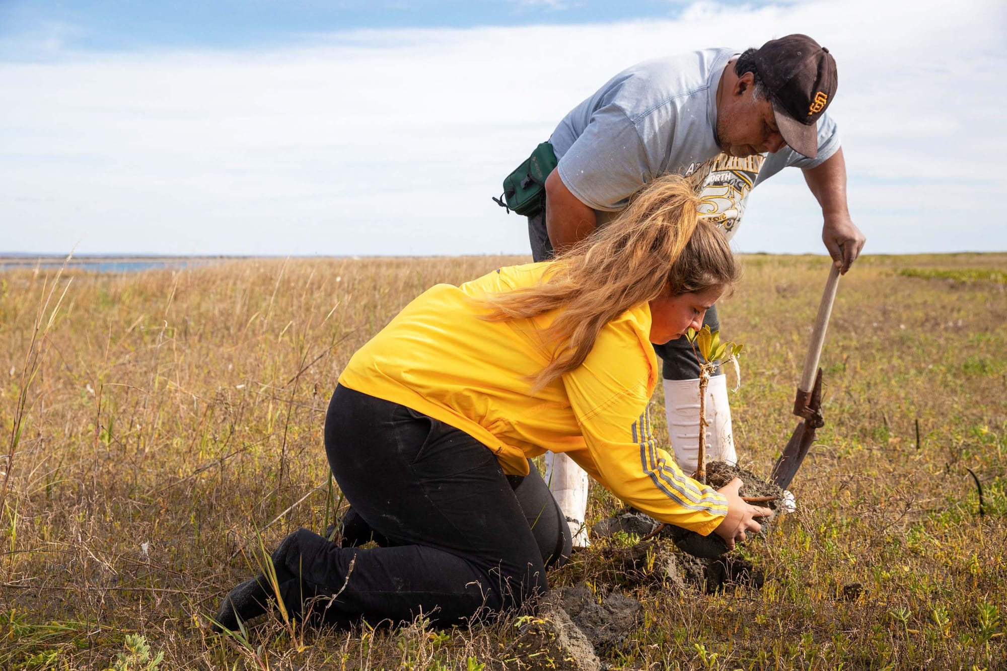 Two people planting a mangrove seedling