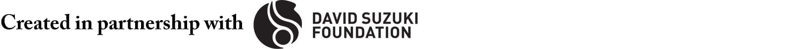 Text: Created in partnership with David Suzuki Foundation