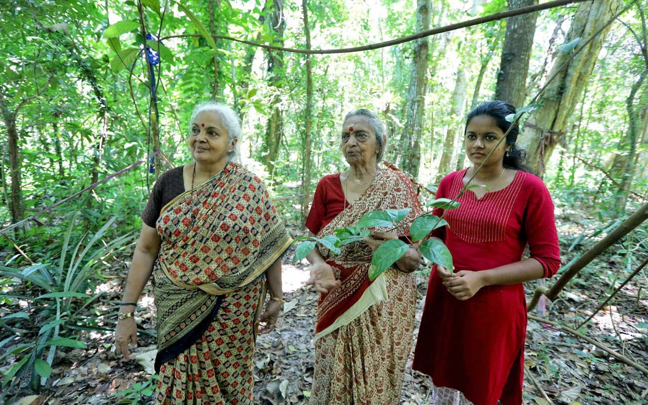 Three people standing together in a forest scene outdoors