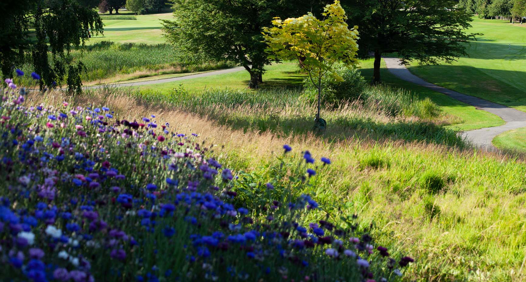 A park with trees and paved pathways. Some areas have mown lawn and others have flowers and long grass.