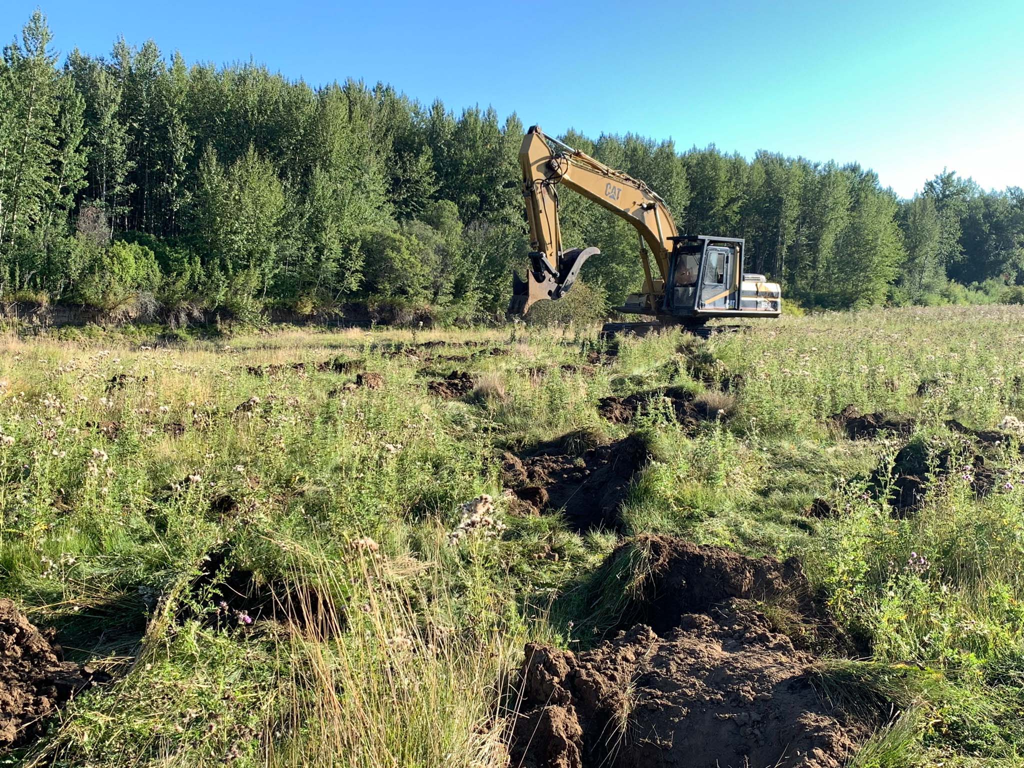 A large digger outdoors amidst forest and grass