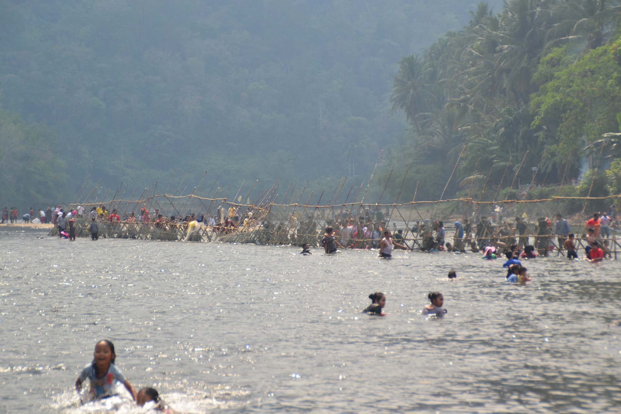 A river with forested hillside behind. In the river, people are grouped along a long bamboo and net structure.