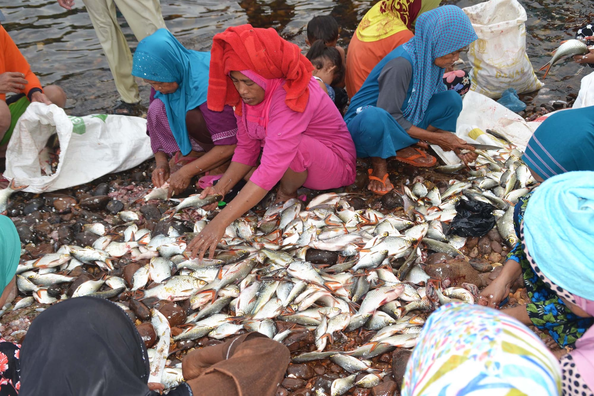 A group of people squatting around a pile of freshly caught fish