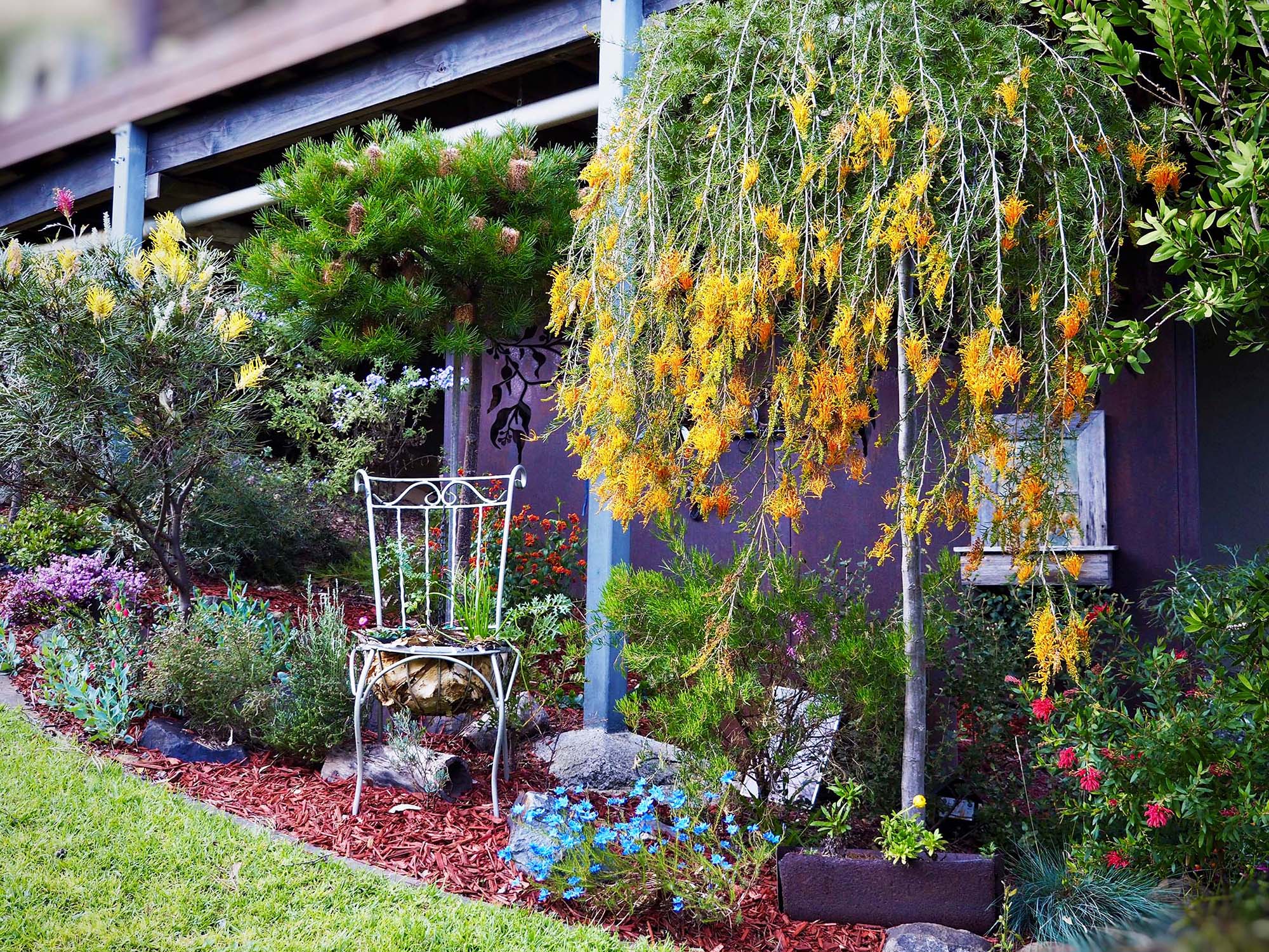 A garden bed of colourful shrubs and trees with an old decorative chair