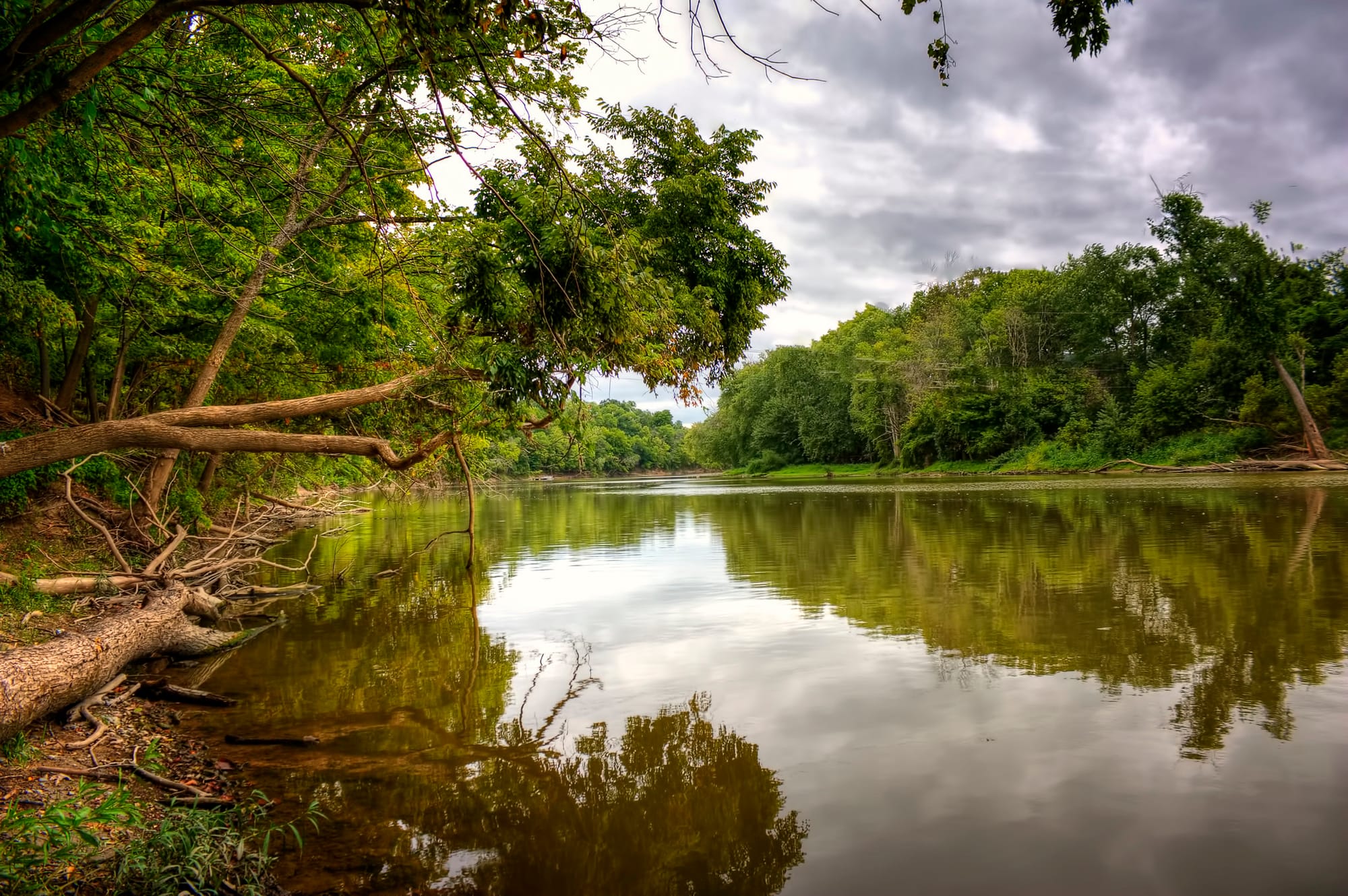 Scene of a calm river wtih trees and other greenery on either side