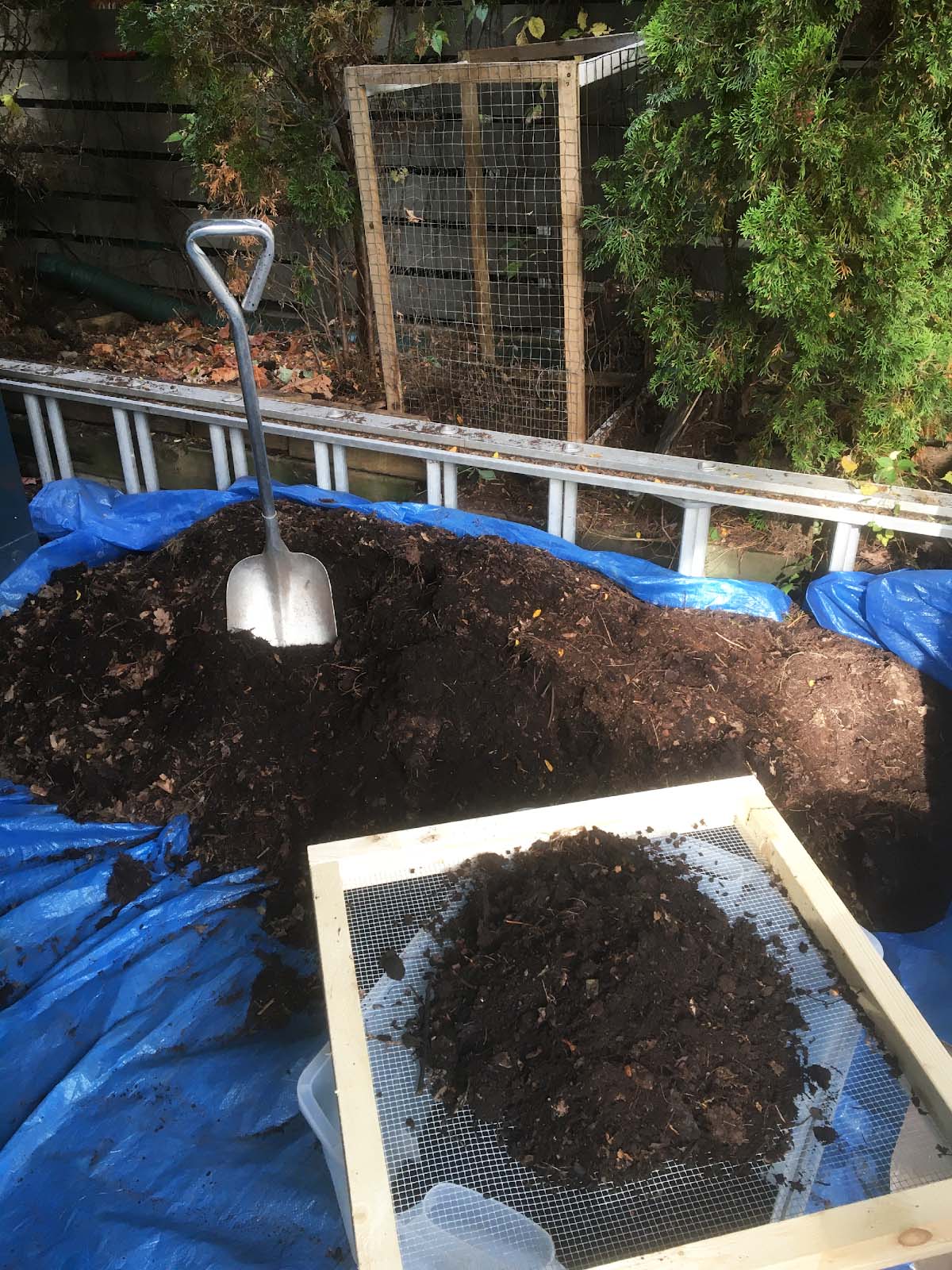 How to Make Leaf Mold