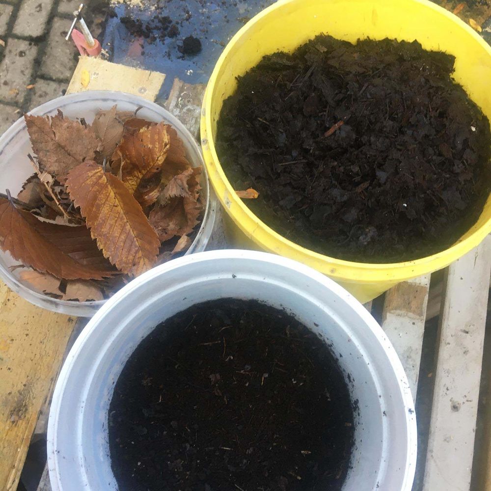 How to Make Leaf Mold