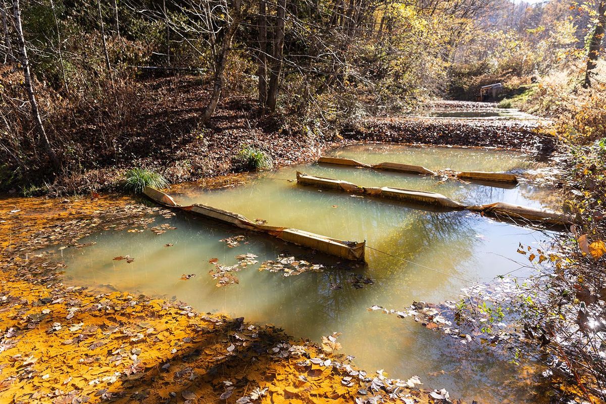 For 30 years, this creek was dead. Now, it supports three kinds of trout – and a web of aquatic life.