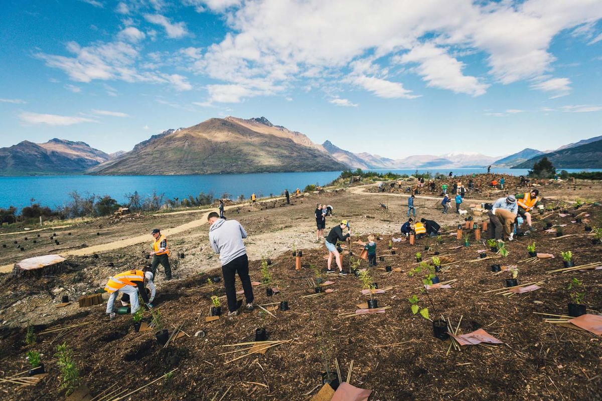 Trees That Count has planted one million trees – and they’re just getting started