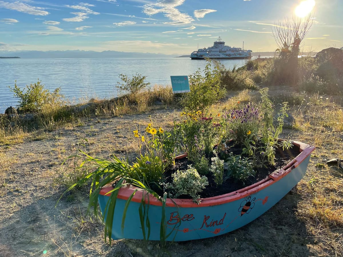 These volunteers are building pollinator habitat – and community