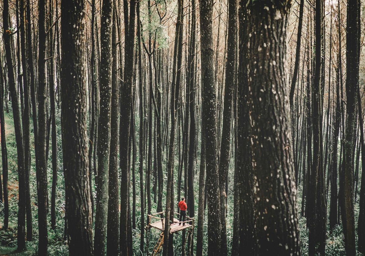 How leveraging culture can boost support for rewilding