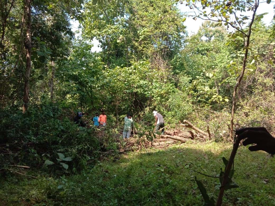 From barren to bountiful: How a village in Maharashtra reclaimed its forests and its future